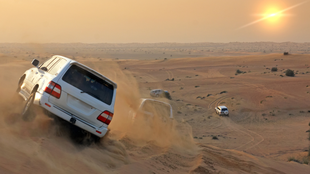 Morning Desert Safari TripScape Guide